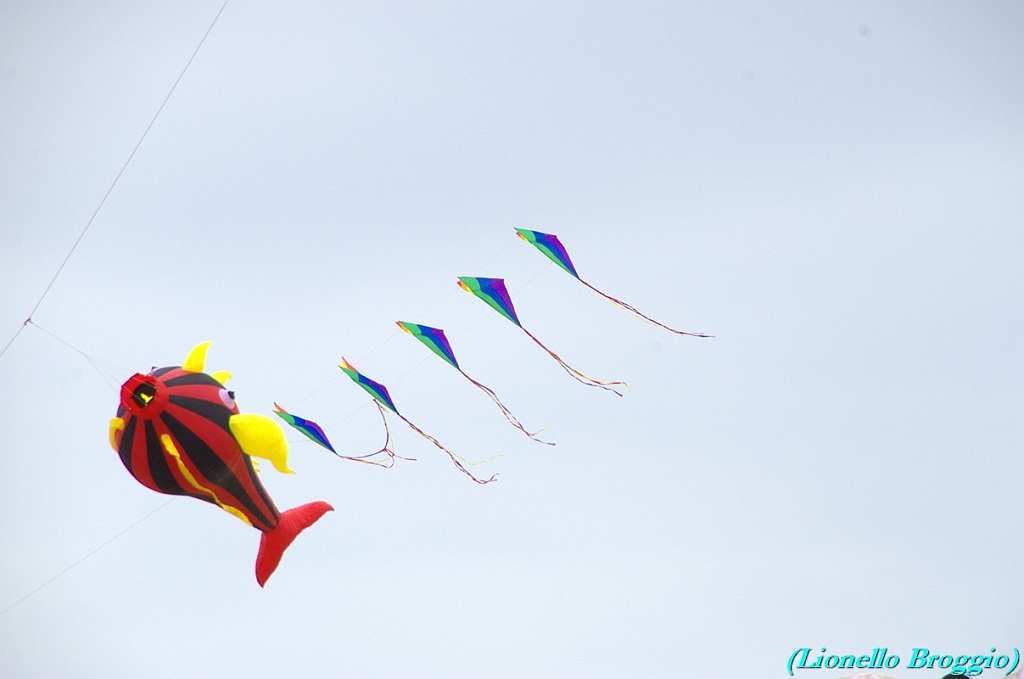 RIMINI 2012 - 004.jpg